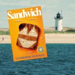 a dark blue sea moving into sandy coastline with a white lighthouse and a large white house. An overlay containing a book cover that is a piece of toast covered with an outline of a two piece bikini